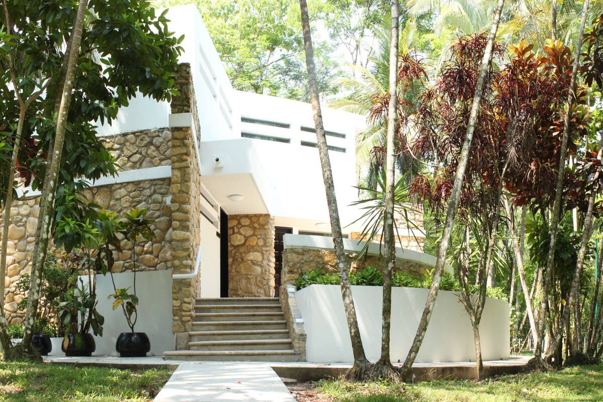 Un edificio moderno con fachada de piedra, una escalera que conduce a la entrada y abundante vegetación alrededor.