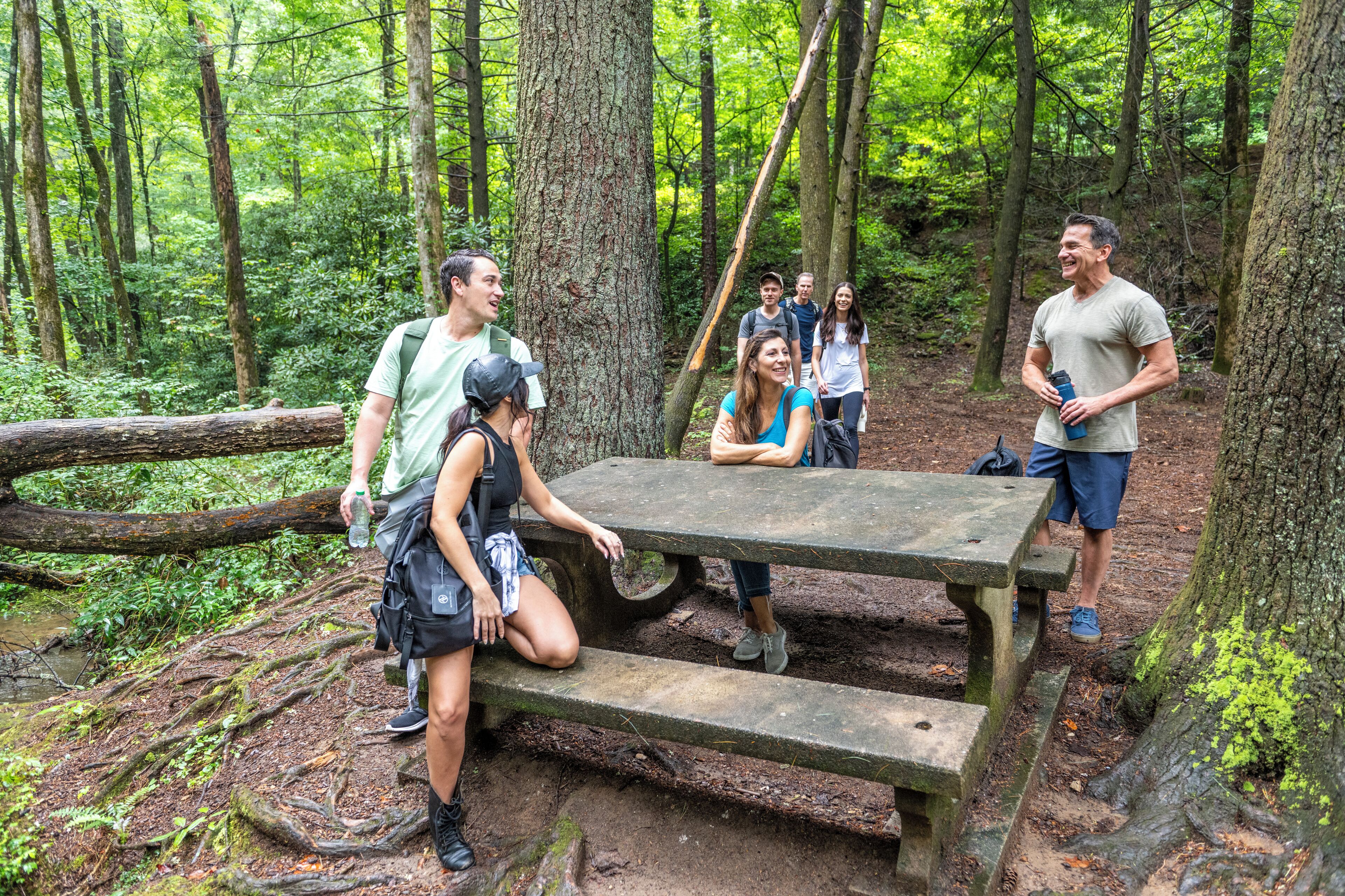 A group of people in a forested area with a picnic table.