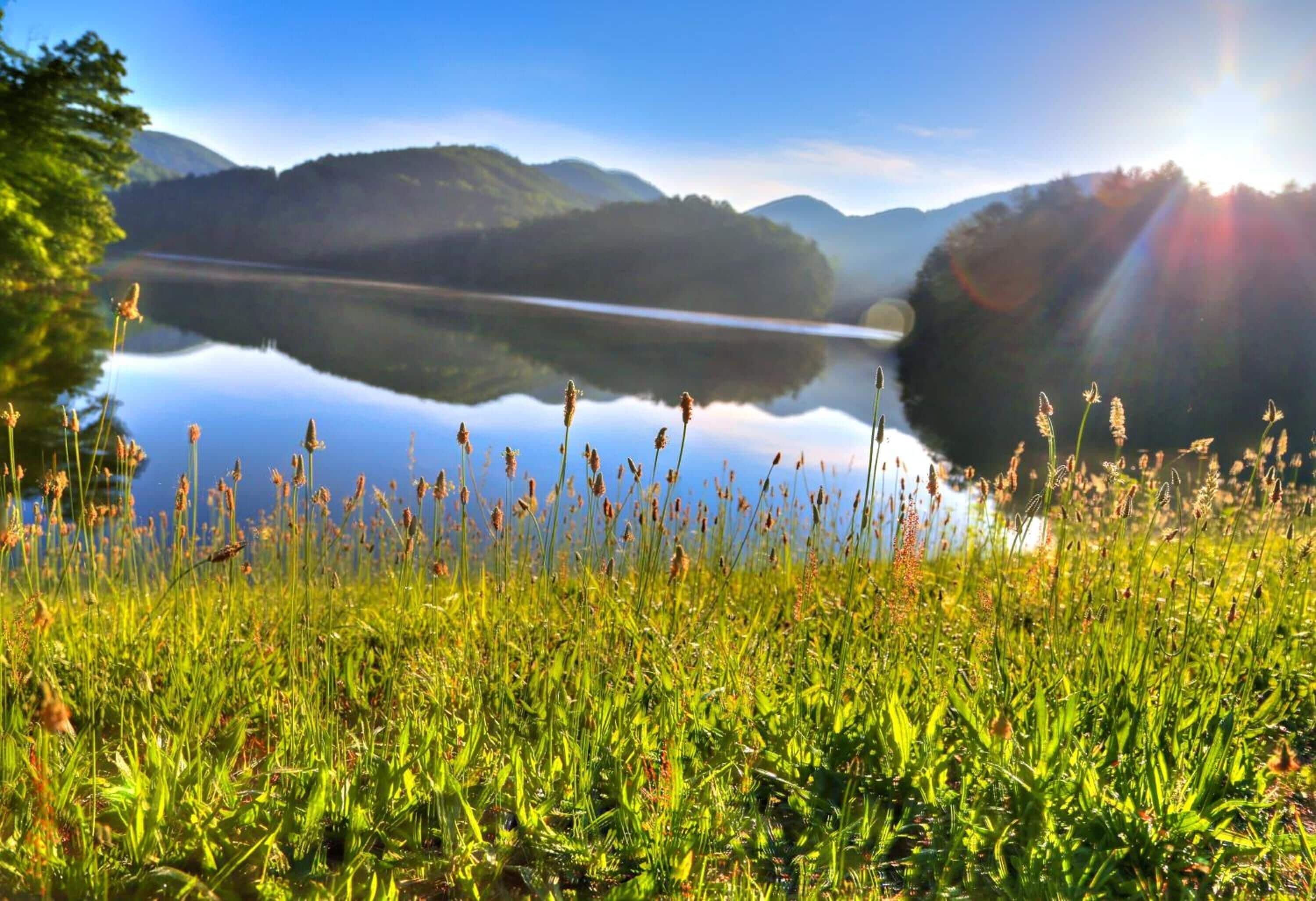 A serene lake with surrounding greenery and mountains in the background.