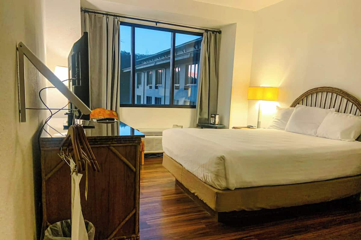 Standard Single Room, 1 Queen Bed, Accessible | Desk, iron/ironing board, bed sheets