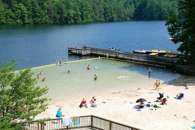 Unicoi State Park & Lodge