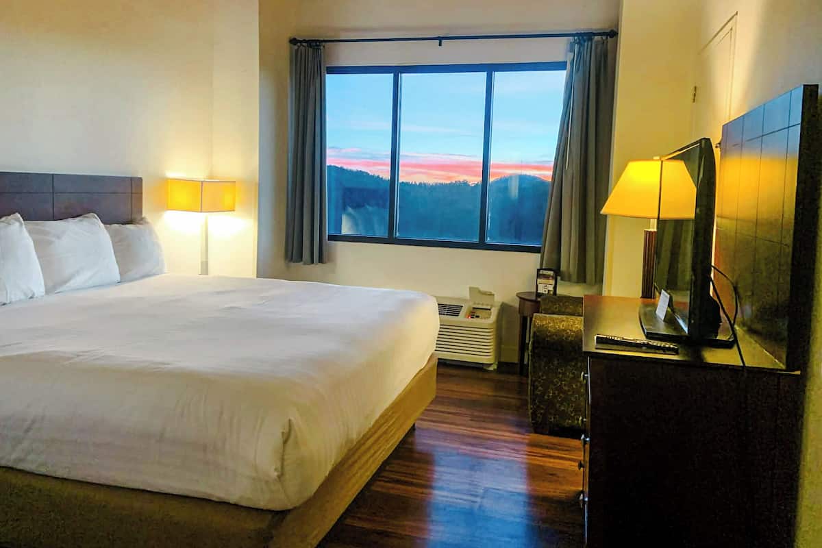 Standard Room, 1 King Bed | Desk, iron/ironing board, bed sheets