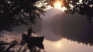 A serene lake scene with a person rowing a boat, surrounded by trees and a mountain in the background.