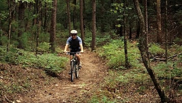 Eine Person fährt Fahrrad auf einem Waldweg.