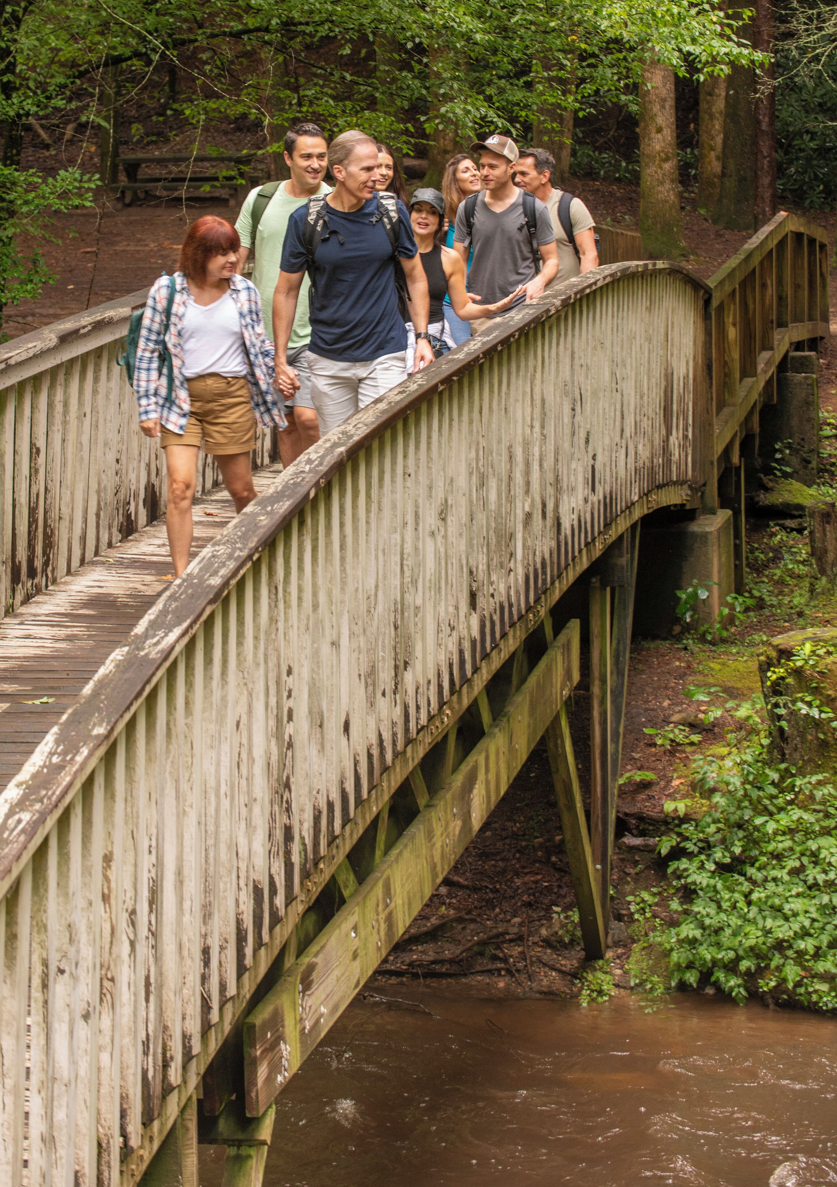 A wooden bridge with a group of people walking across it.
