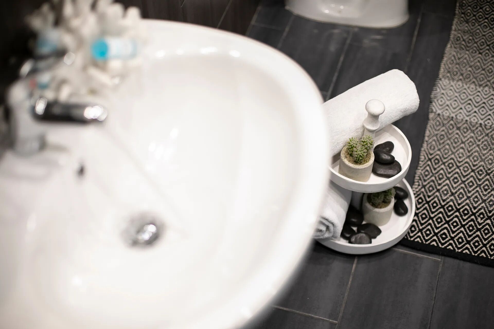 A bathroom with a white sink, a small potted plant, and a tray with black stones.