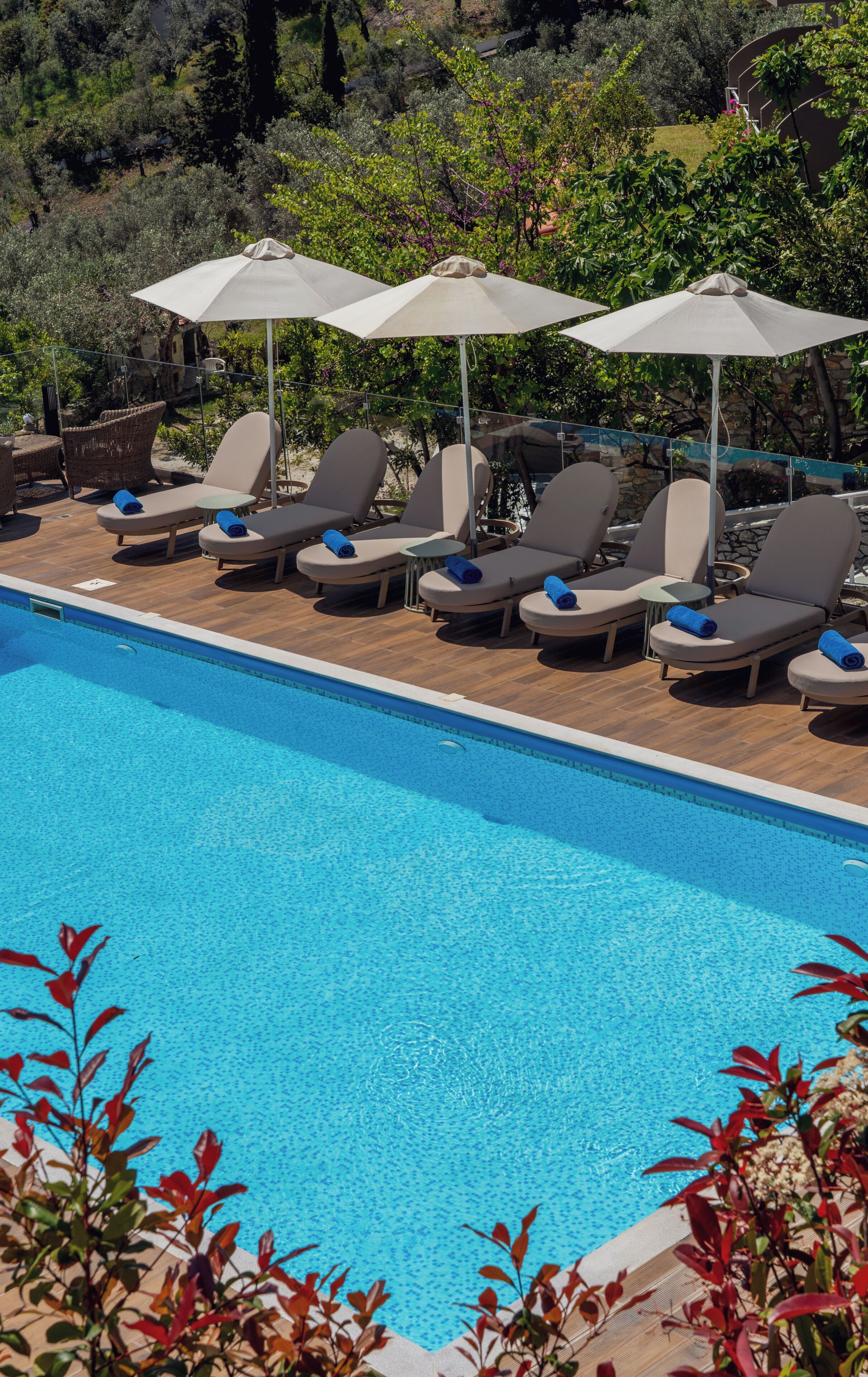 A poolside area with lounge chairs and umbrellas, surrounded by greenery.