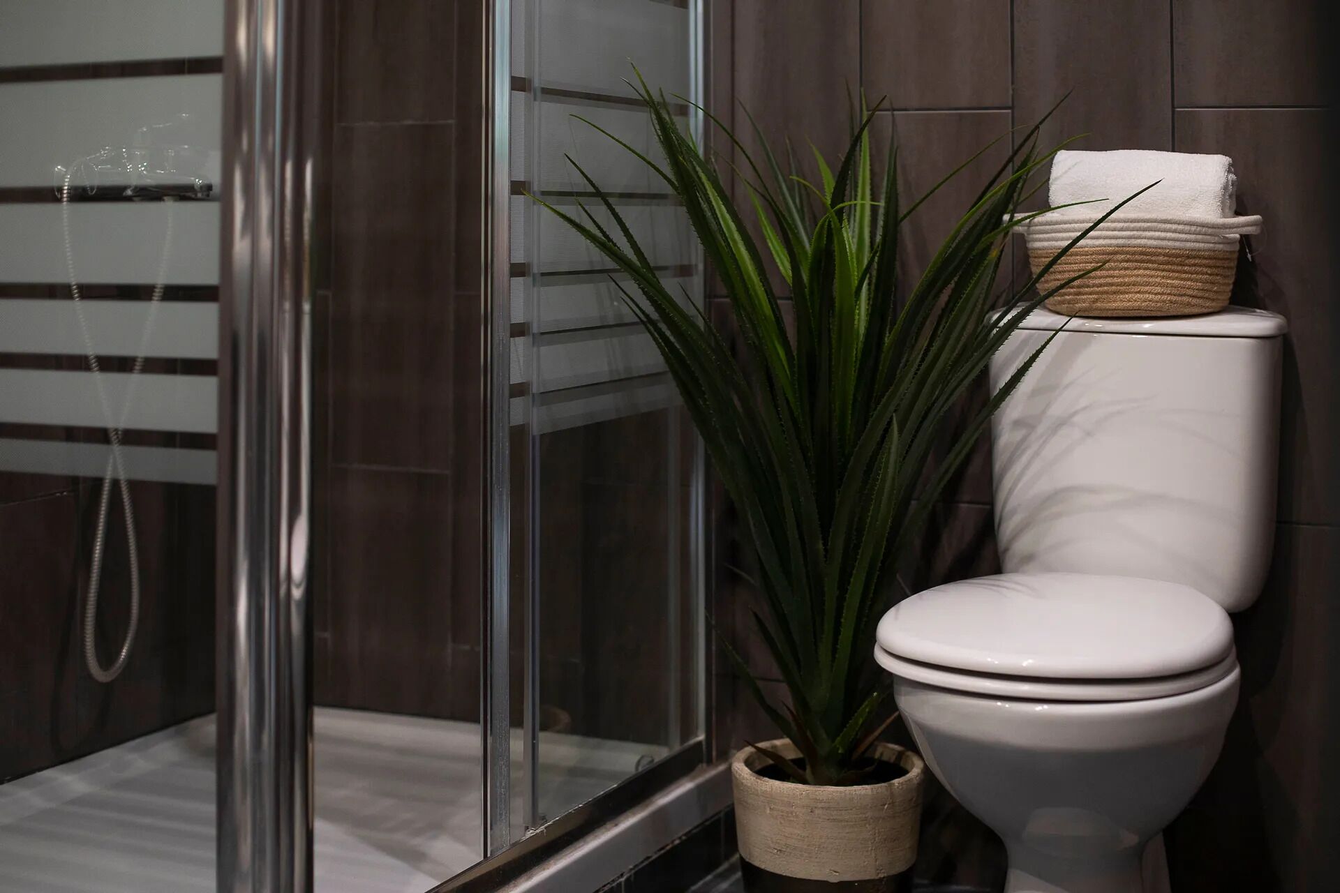 A bathroom with a white toilet, a potted plant, and a glass shower enclosure.