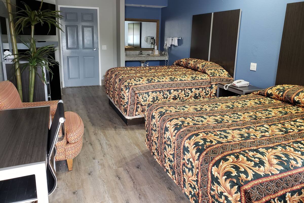 A hotel room with two beds, a desk, a chair, a mirror, and a plant.