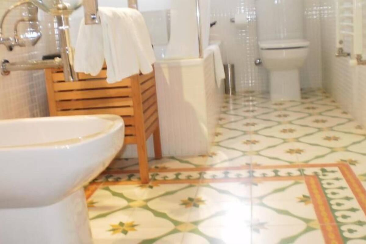 combined shower/bathtub, free toiletries, hair dryer, bidet