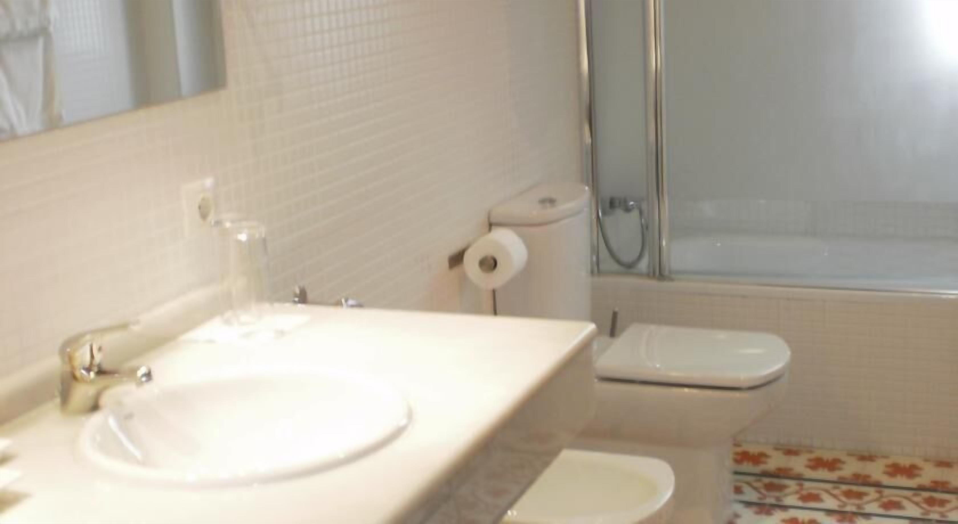 combined shower/bathtub, free toiletries, hair dryer, bidet