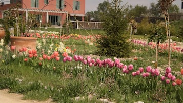 Tuin