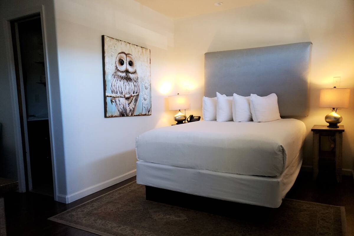 A hotel room with a large bed, two bedside lamps, a painting of an owl, and a small table with a lamp.