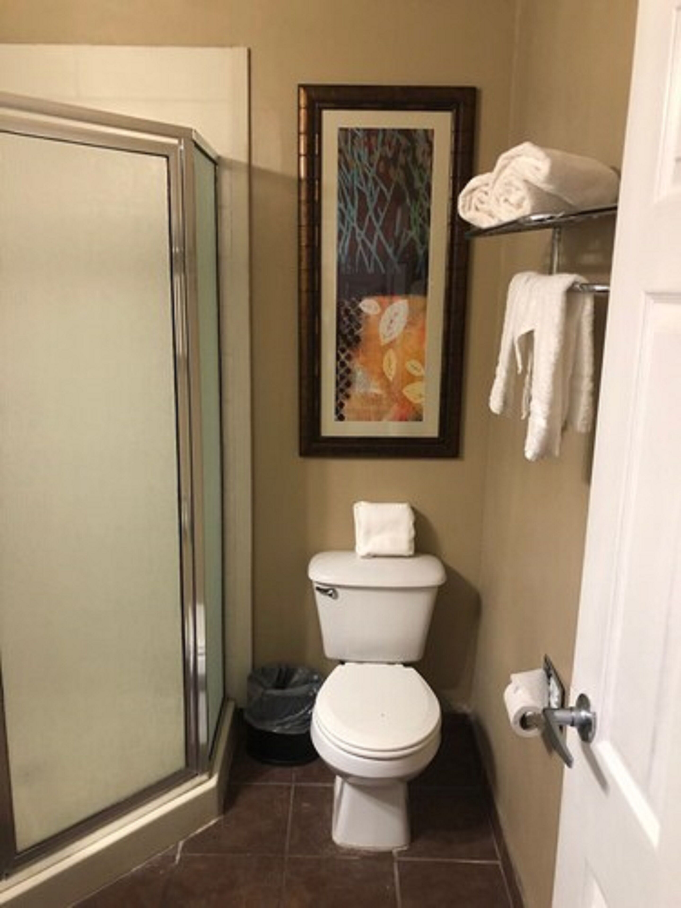 Une salle de bain comprenant des toilettes, une œuvre d’art encadrée, une douche et un porte-serviettes.