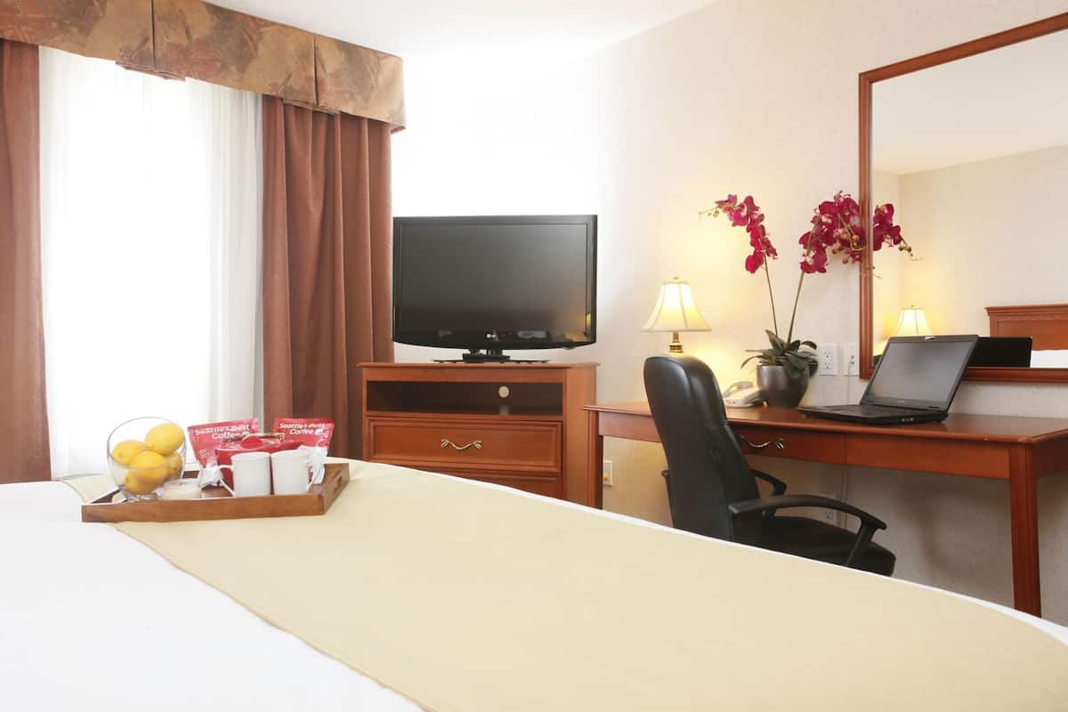 Habitación de hotel con cama, televisión, escritorio con computadora portátil, silla, lámpara y bandeja con artículos de desayuno.