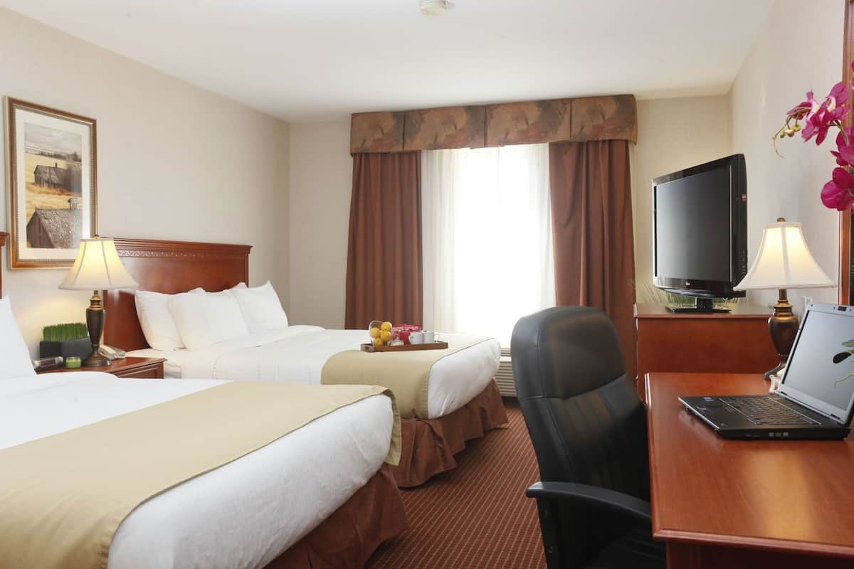 Habitación de hotel con dos camas, un escritorio con una computadora portátil, un televisor y una ventana con cortinas.