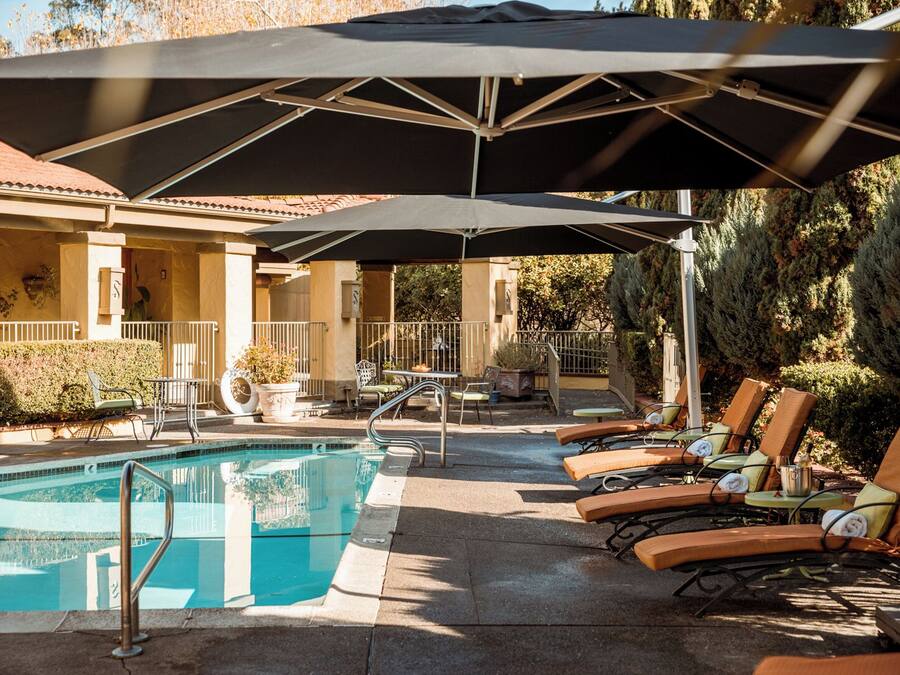 Outdoor pool, sun loungers