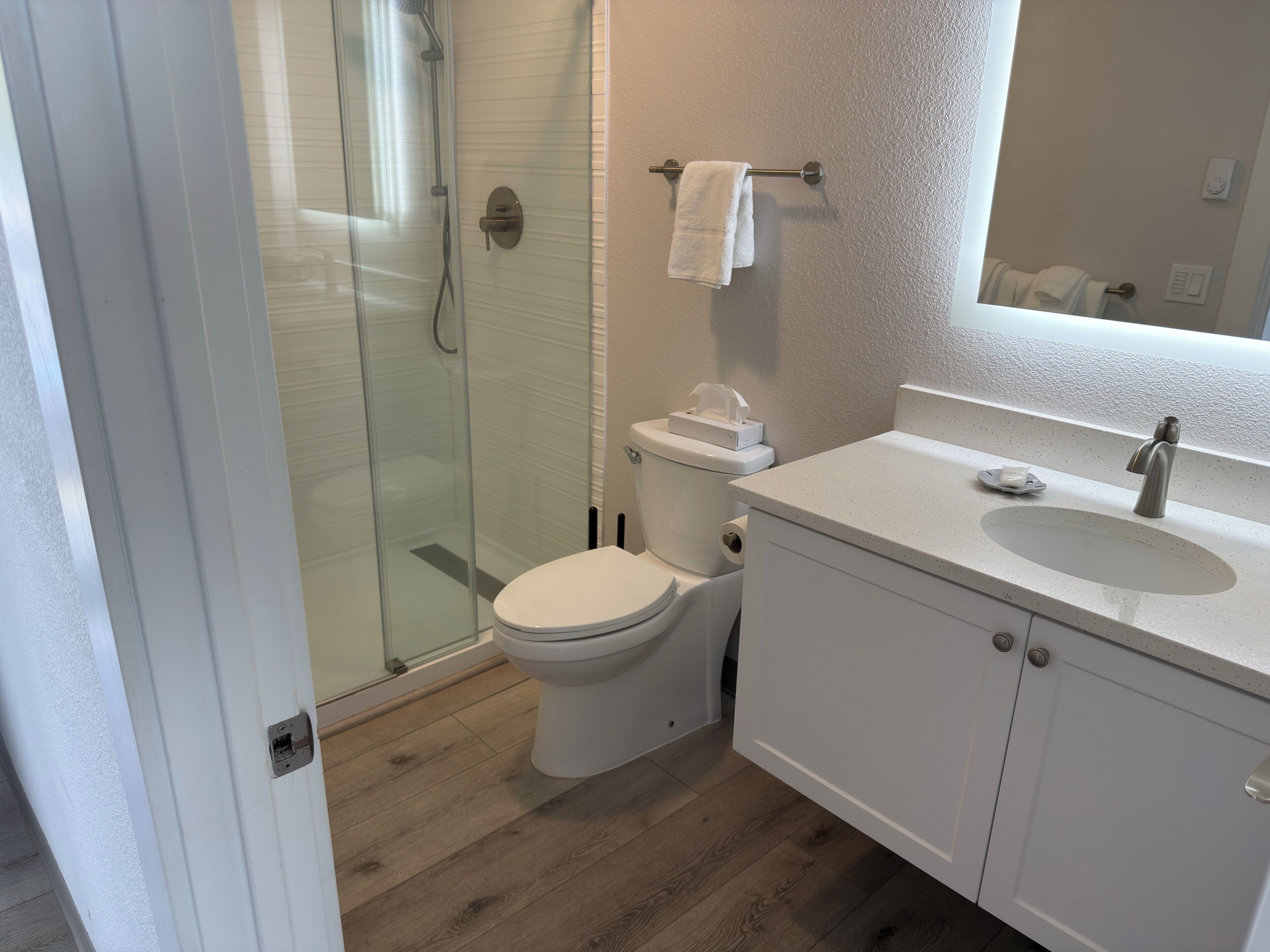 A bathroom with a glass shower enclosure, a toilet, and a sink with a mirror.