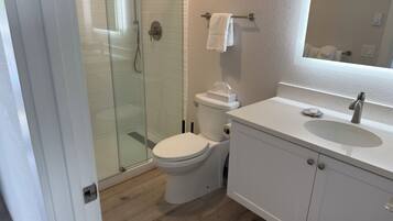 A bathroom with a glass shower enclosure, a toilet, and a sink with a mirror.