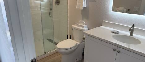 A bathroom with a glass shower enclosure, a toilet, and a sink with a mirror.