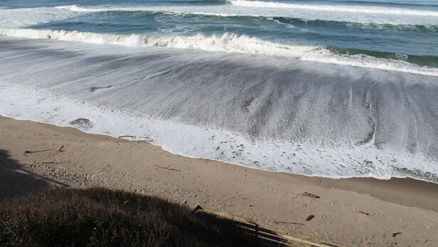 A beach with waves approaching the shore, a sandy beach, and a clear sky. - West Beach Suites (Lincoln City)