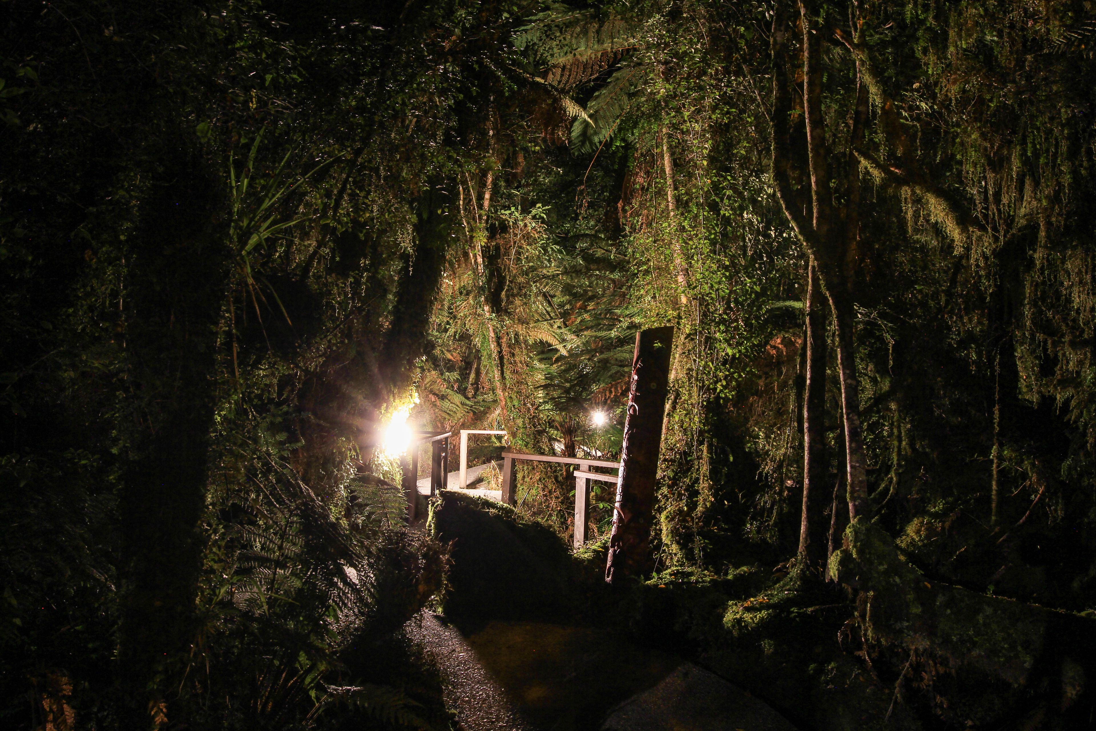 A forest path with a wooden bridge and a light source at the end.