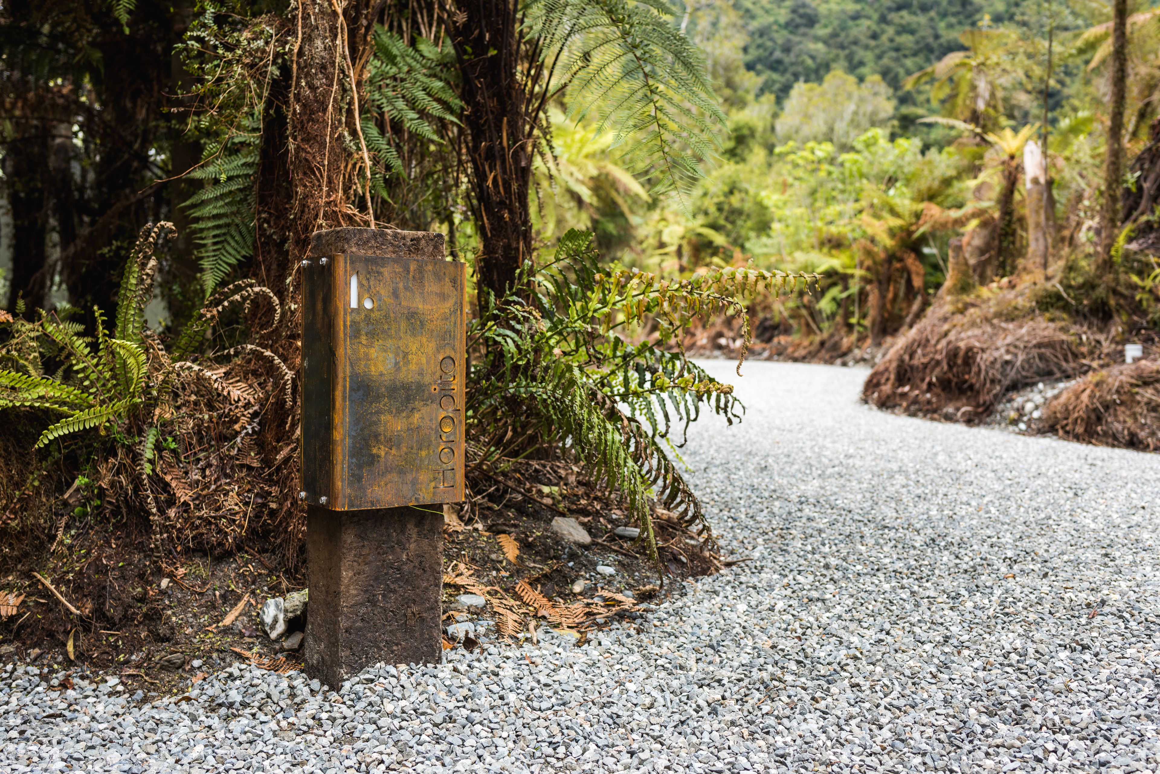 A gravel path with a metal utility box and dense greenery, including ferns and trees, in a natural setting.