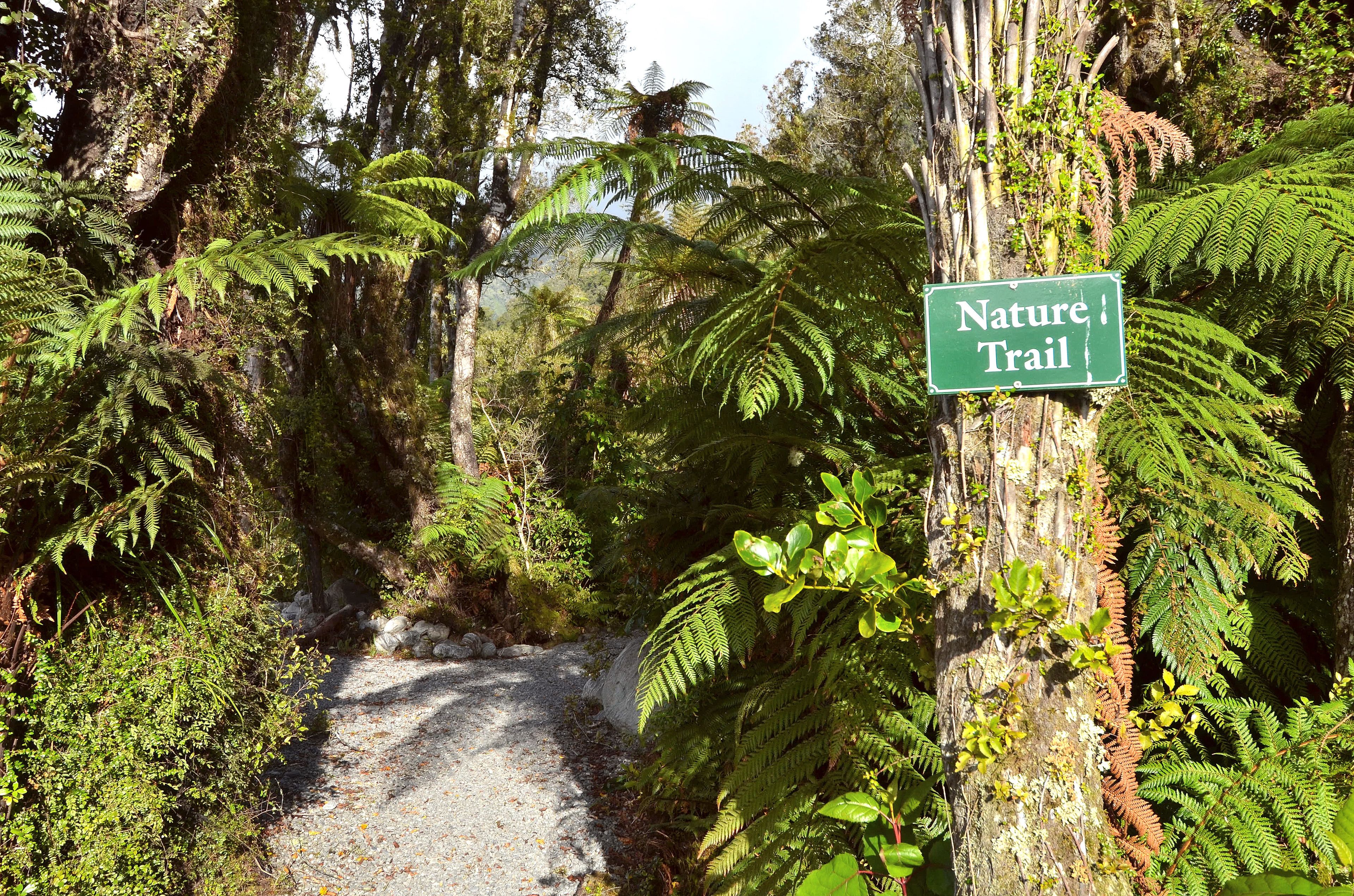 A nature trail sign amidst dense greenery and trees.