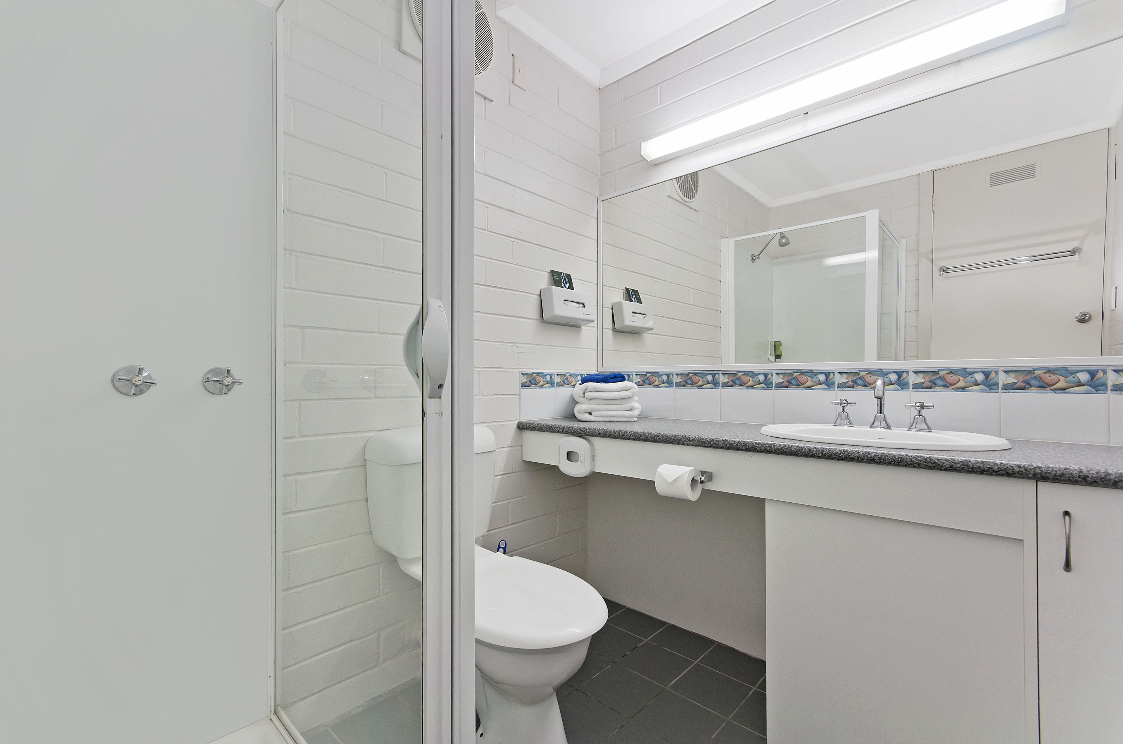 Shower, free toiletries, hair dryer, towels