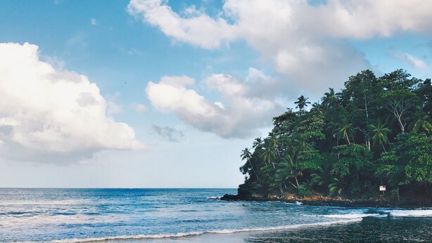 Una playa con agua azul cristalina, una orilla arenosa y una pequeña isla con vegetación densa.
