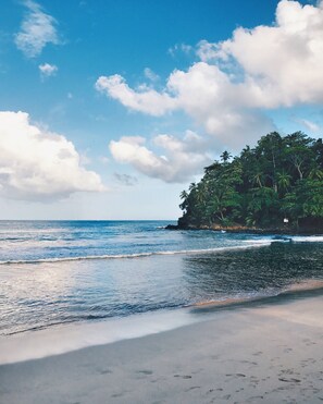 A beach with clear blue water, a sandy shore, and a small island with dense vegetation.