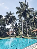 Outdoor pool, sun loungers