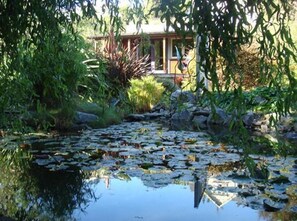 Garden - Joya Garden & Villa Studios (Nelson)