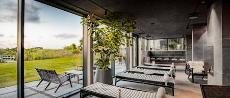 A modern spa with reclining chairs, a large potted plant, and a view of the outdoors.