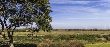 Eine Landschaft mit einem großen Baum und Windkraftanlagen in der Ferne.