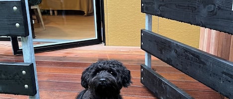 Un perro negro sentado en una cubierta de madera con un ventanal de vidrio que da a un espacio interior.