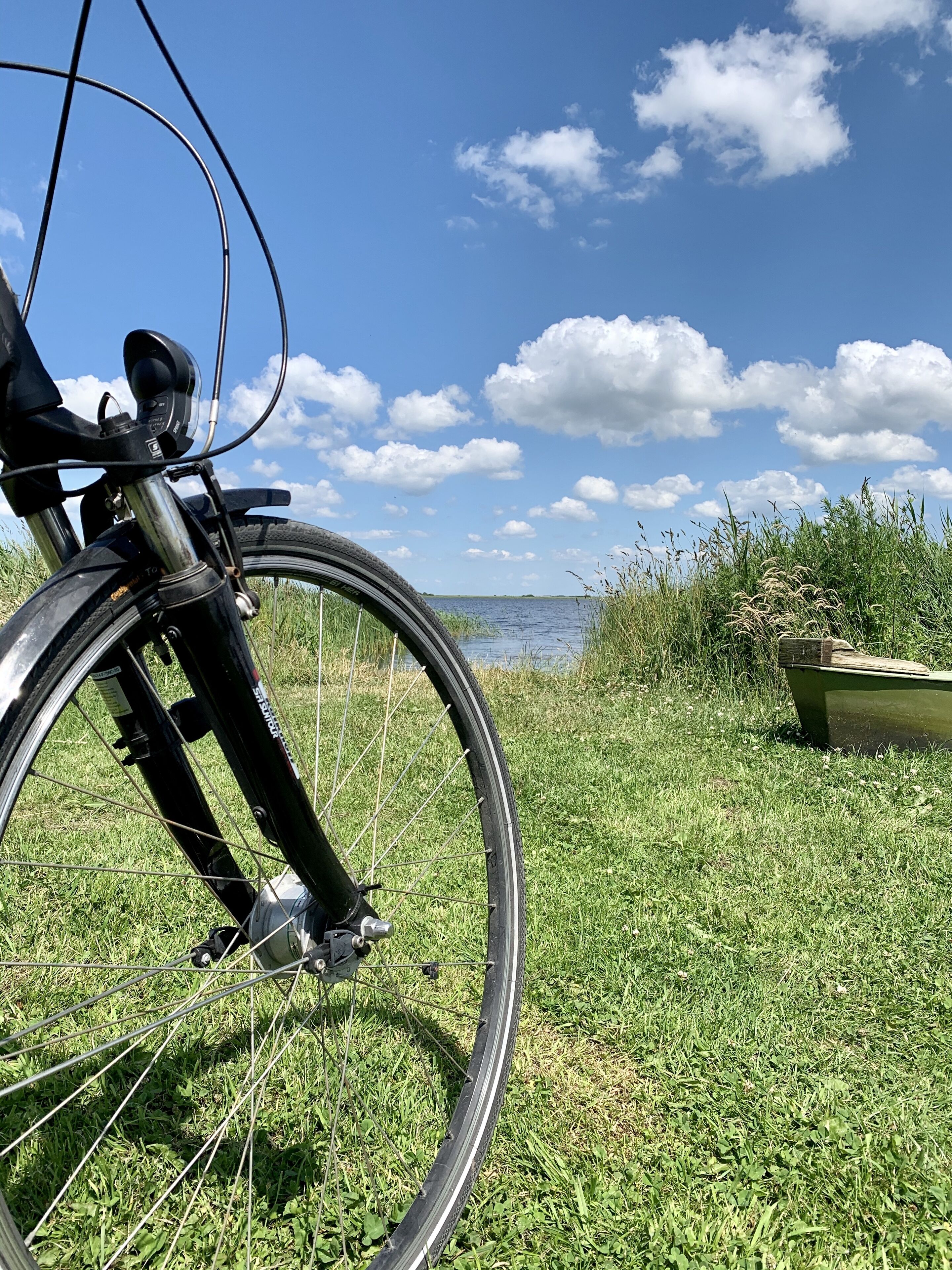 Una bicicletta parcheggiata sull'erba, con un lago e nuvole sullo sfondo.