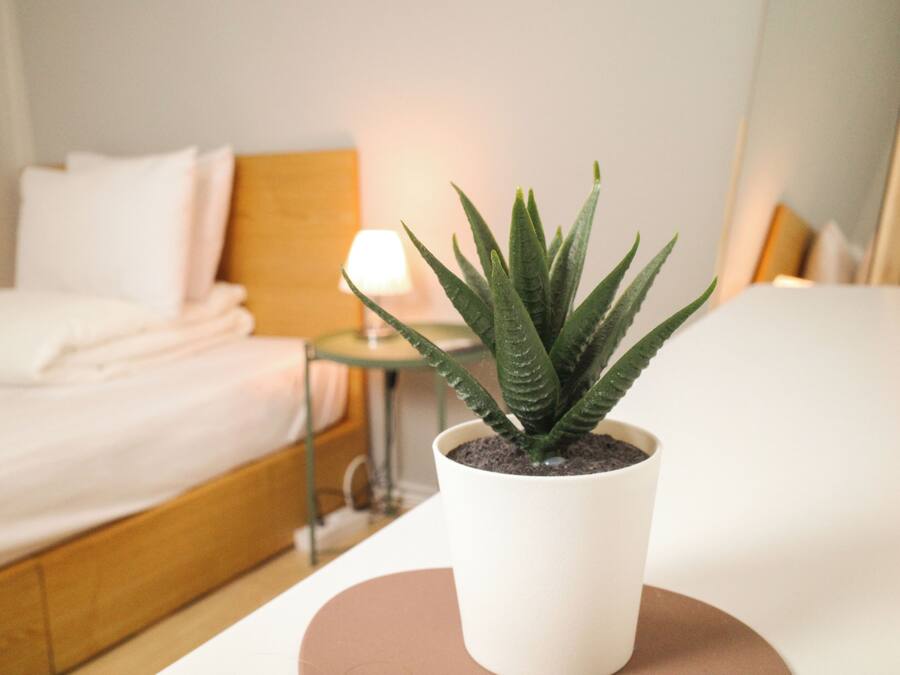 Wifi gratis y ropa de cama