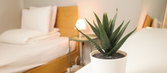 Starria Hostel Foreign Guest Only