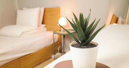 Starria Hostel Foreign Guest Only