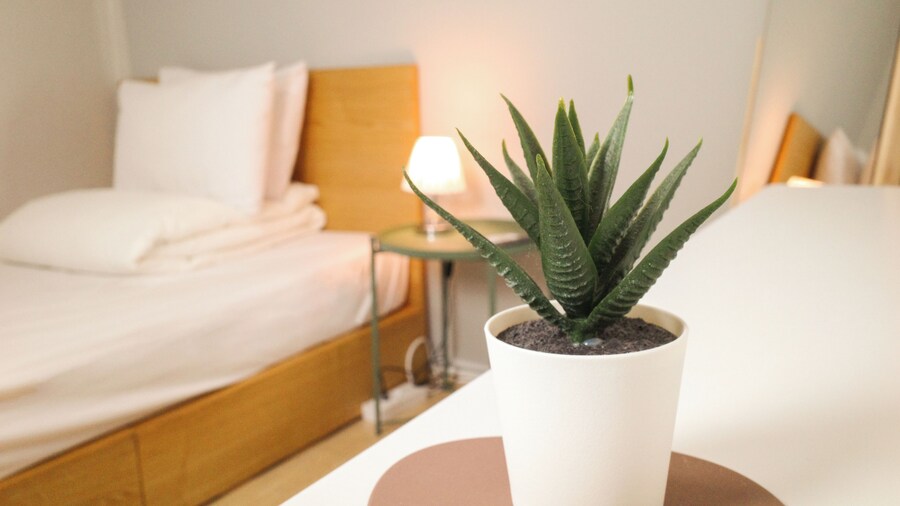 斯塔里亚旅舍仅限外国客人