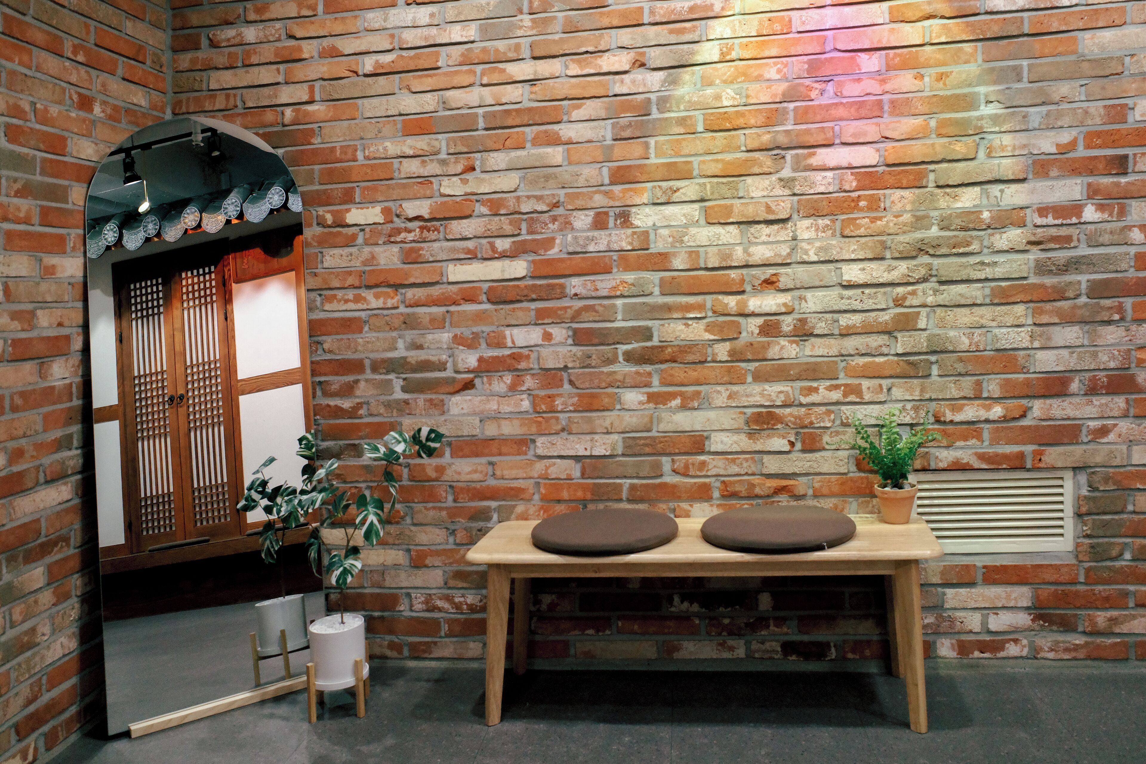 Photo - Starria Hostel Foreign Guest Only