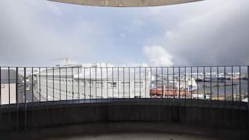 Vista desde la propiedad