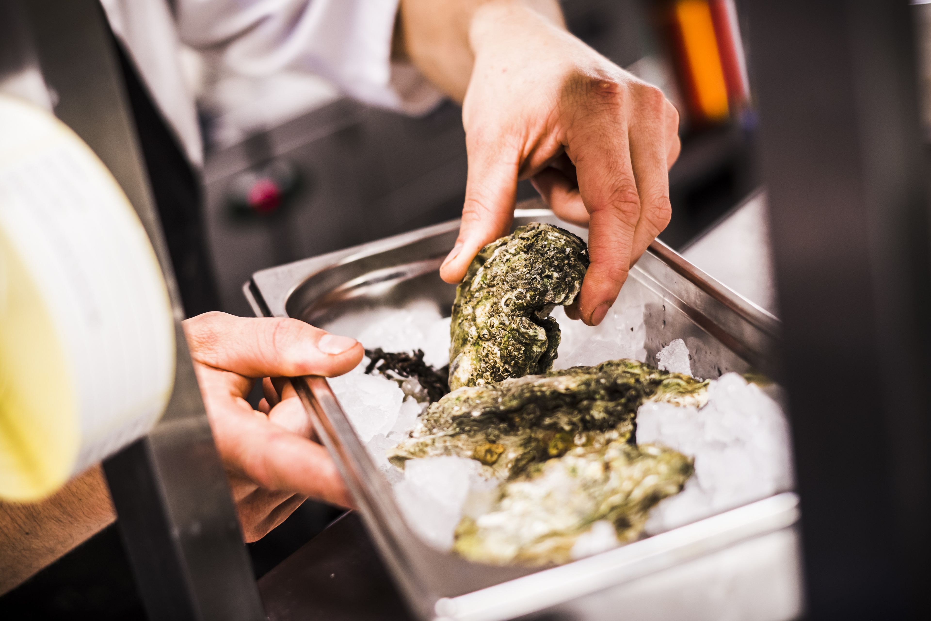 A person handling seafood on ice.