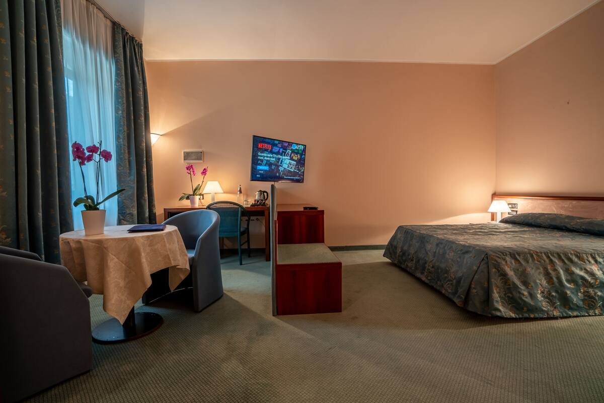 A hotel room with a bed, a desk, a chair, a TV, and a small table with a plant.