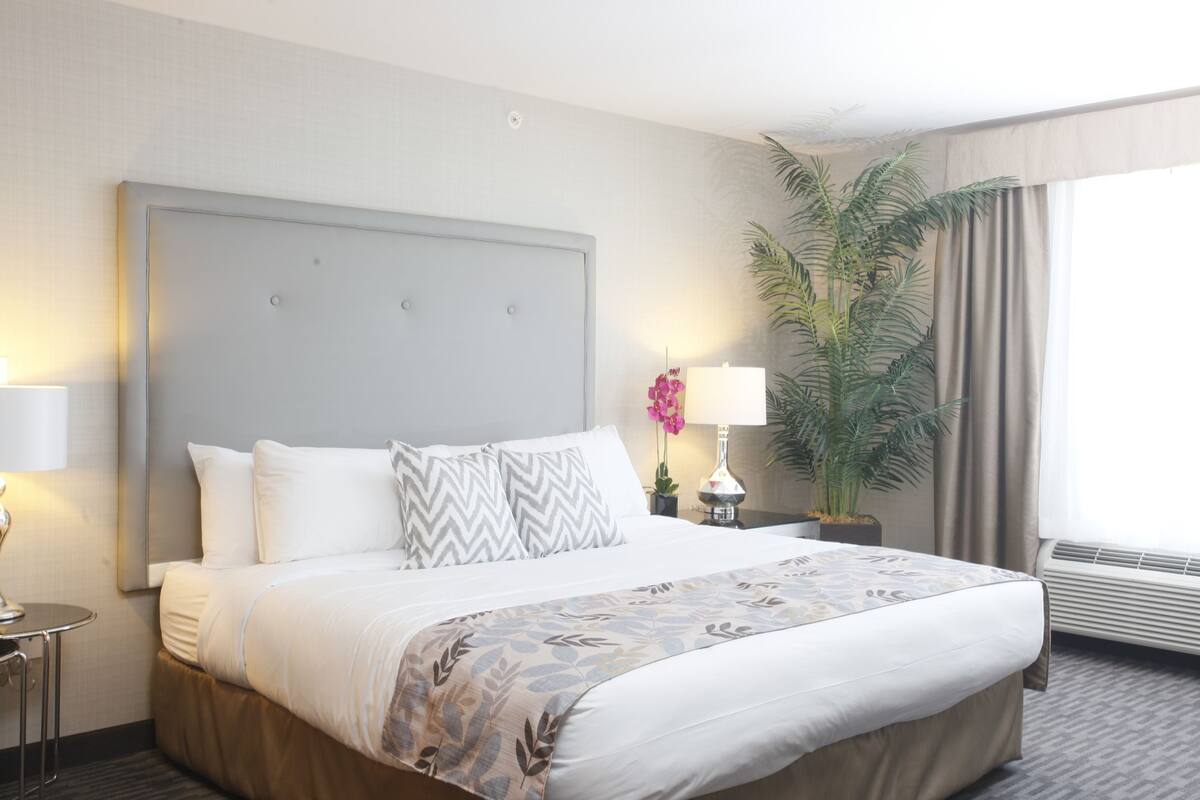 A hotel room with a large bed, a nightstand with a lamp, a potted plant, and a window with curtains.