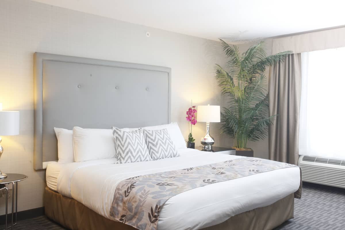 Luxe beddengoed, pillowtop-bedden, een bureau, een laptopwerkplek