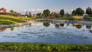 A serene pond with a wooden bridge, surrounded by lush greenery and a small pavilion.