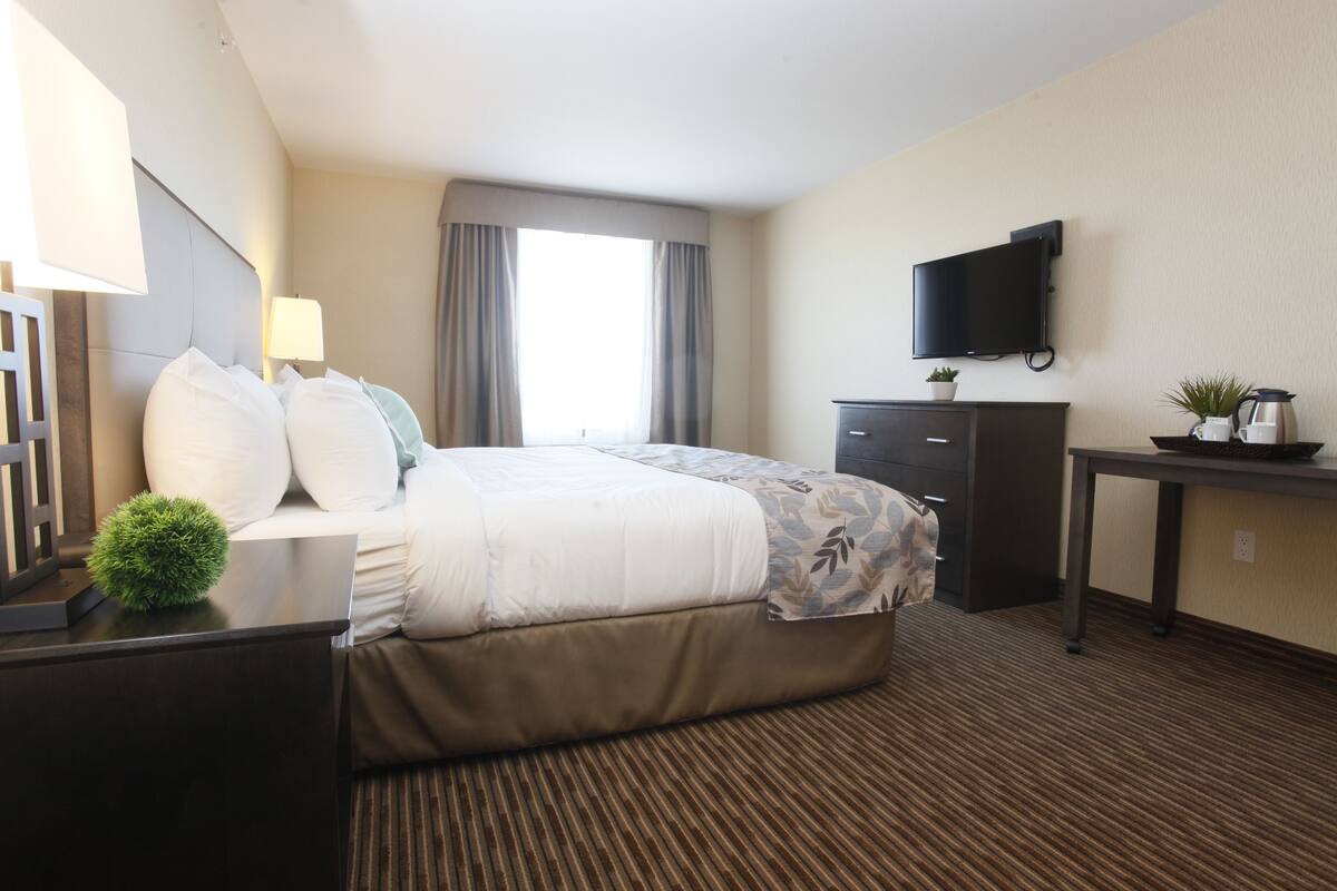 A hotel room with a bed, bedside table, lamp, TV, dresser, and a small plant.