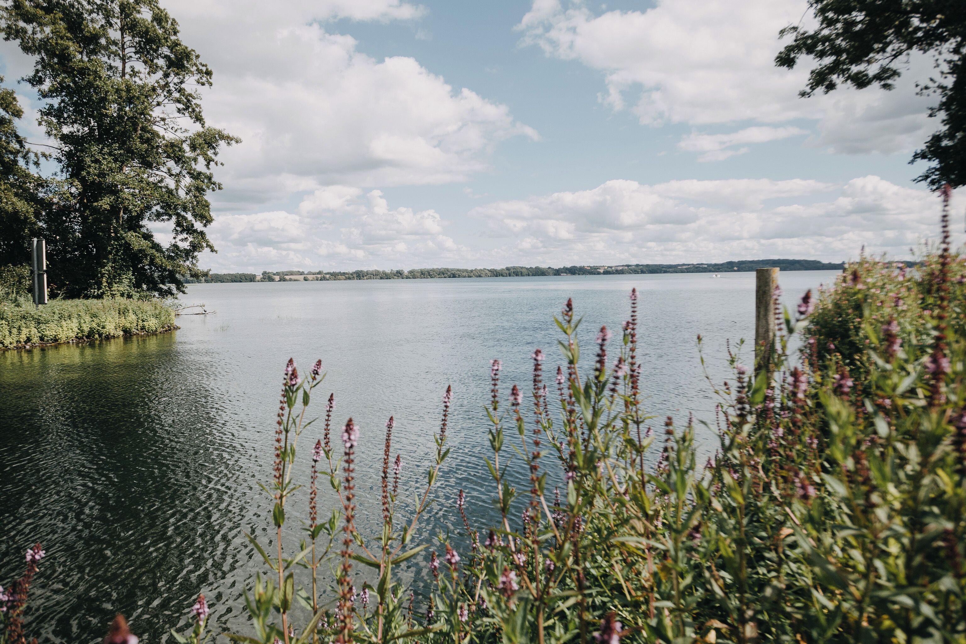 Un llac amb cel blau, envoltat de vegetació i flors silvestres.